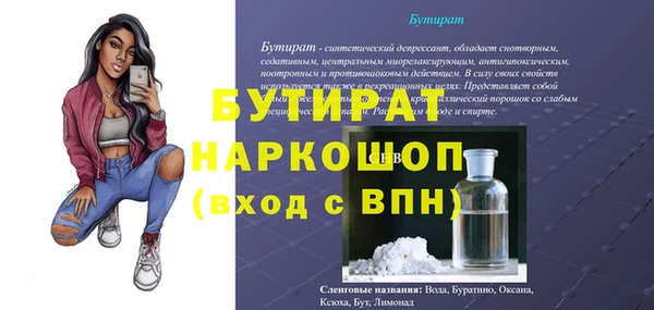 гидра Бородино