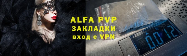 прущие грибы Бронницы