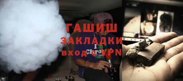 гидра Бородино