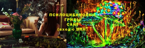 прущие грибы Бронницы
