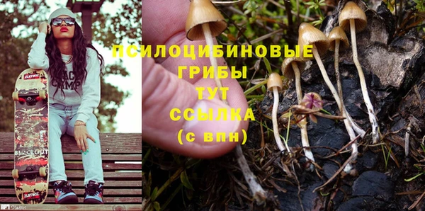 прущие грибы Бронницы