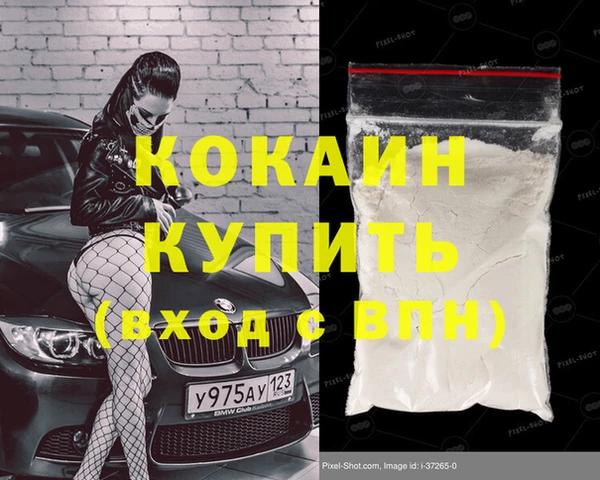 гидра Бородино