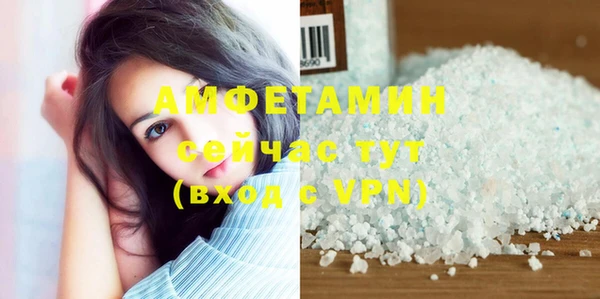 гидра Бородино
