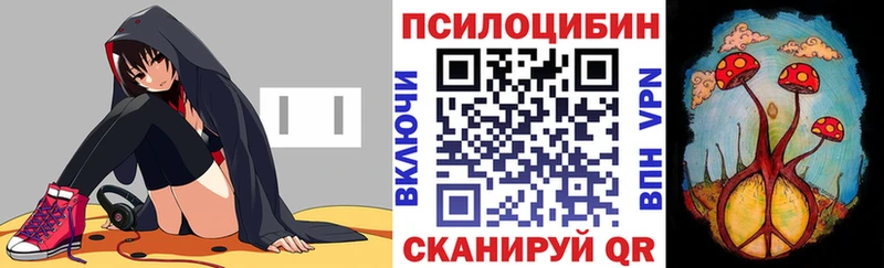 блэк спрут как войти  Шумерля  Псилоцибиновые грибы мицелий 